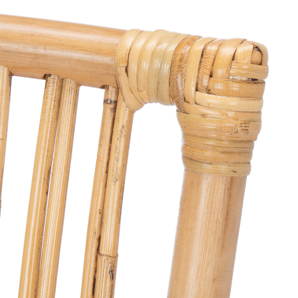 Safavieh Erika Rattan Accent Chair with Cushion - Set of 2 ACH6511B-SET2