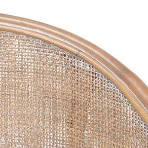 Safavieh Dustin Rattan Accent Chair with Cushion ACH6517A