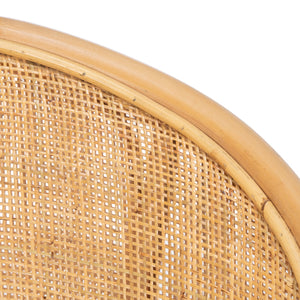 Safavieh Dustin Rattan Accent Chair with Cushion ACH6517B