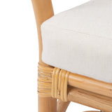 Safavieh Dustin Rattan Accent Chair with Cushion ACH6517B