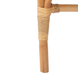 Safavieh Dustin Rattan Accent Chair with Cushion ACH6517B