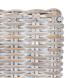 Safavieh Nancy Rattan Accent Chair with Cushion ACH6518A