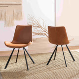 Terra Midcentury Modern Dining Chair - Set of 2