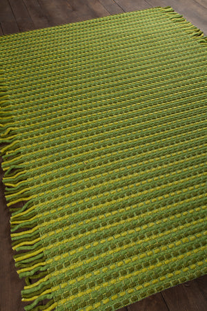 Chandra Rugs Adaline 100% Wool Hand-Woven Contemporary Rug Green 7'9 x 10'6
