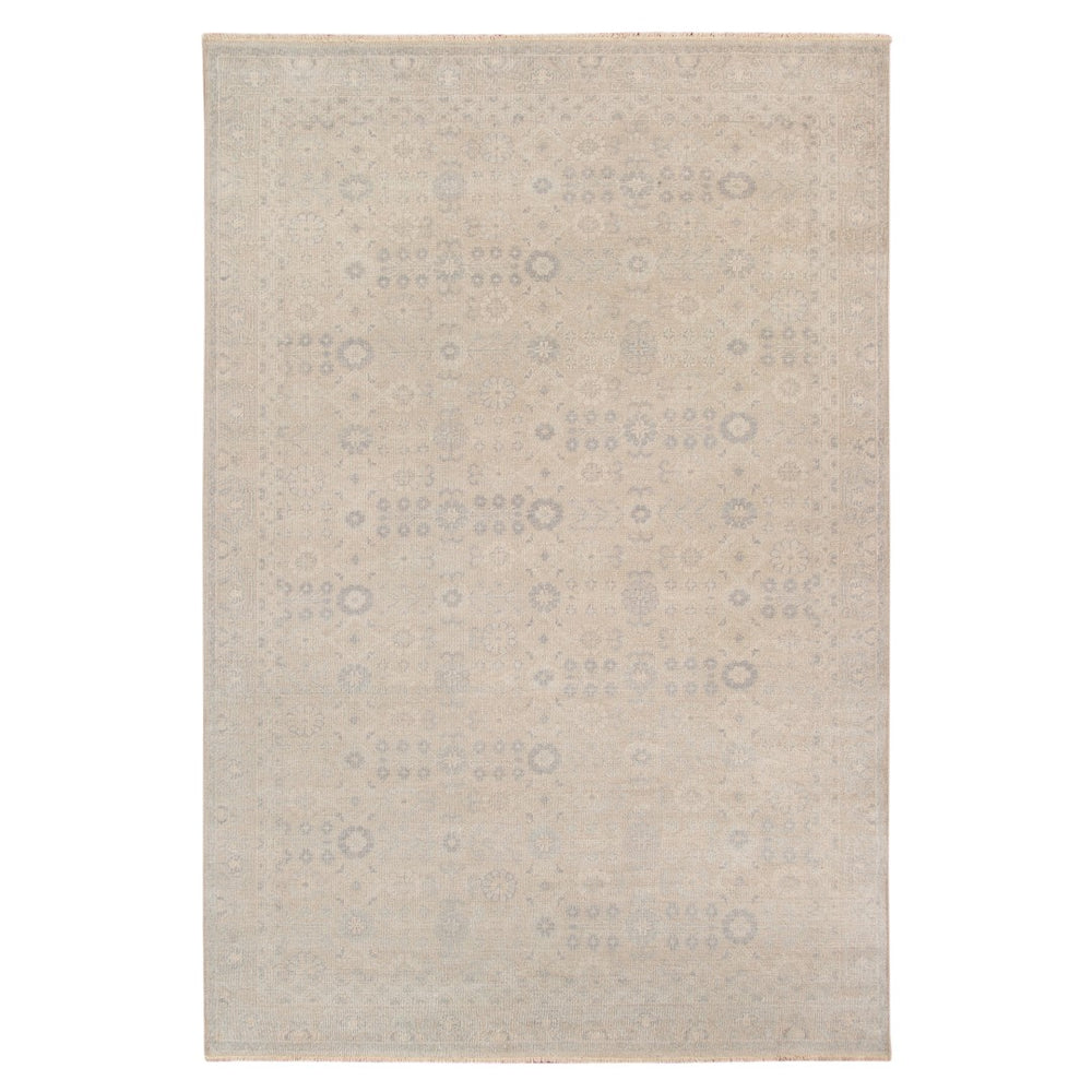 AMER Rugs Ainsley AIN-4 Hand-Knotted Bordered Classic Area Rug Gray 10' x 14'
