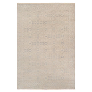 AMER Rugs Ainsley AIN-4 Hand-Knotted Bordered Classic Area Rug Gray 10' x 14'