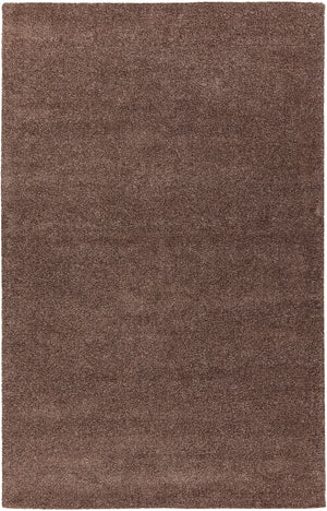 Chandra Rugs Alcon 100% Polyester Hand-Woven Contemporary Rug Brown 7'9 x 10'6