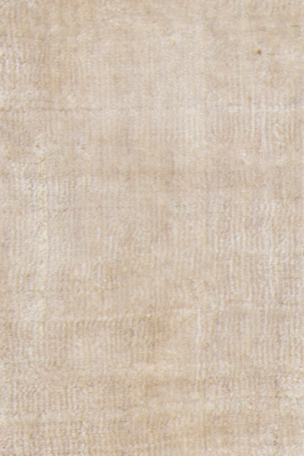 Chandra Rugs Alida 100% Art Silk Hand-Woven Contemporary Rug Beige 9' x 13'