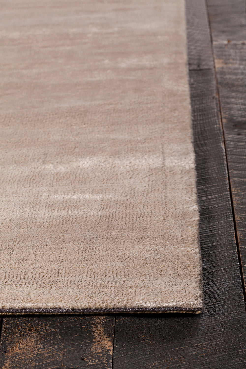 Chandra Rugs Alida 100% Art Silk Hand-Woven Contemporary Rug Beige 9' x 13'