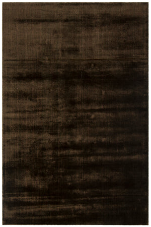 Chandra Rugs Alida 100% Art Silk Hand-Woven Contemporary Rug Brown 9' x 13'