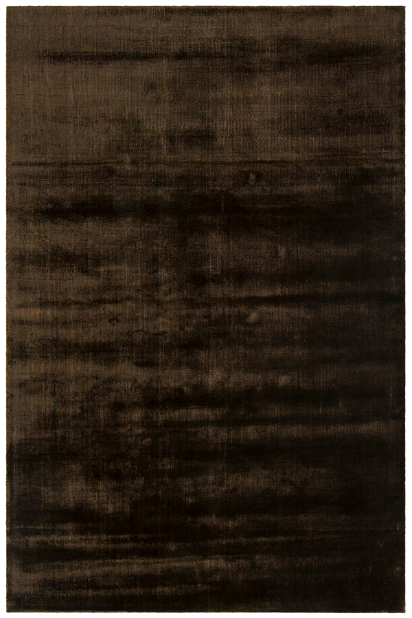 Chandra Rugs Alida 100% Art Silk Hand-Woven Contemporary Rug Brown 9' x 13'