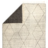 Jaipur Living Ammil Hand-Knotted Trellis Cream/ Black Area Rug (12'X15')