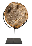Wood Fossil with Stand