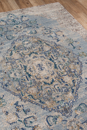 Momeni Amelia AM-02 Machine Made Traditional Medallion Indoor Area Rug Light Blue 9'3" x 12'6" AMELIAM-02LBL93C6