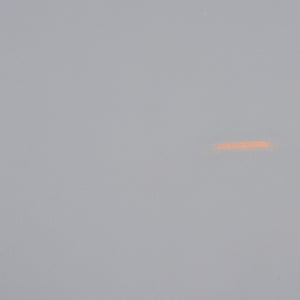 Safavieh Milo Trellis Gold Leaf End Table AMH1508D