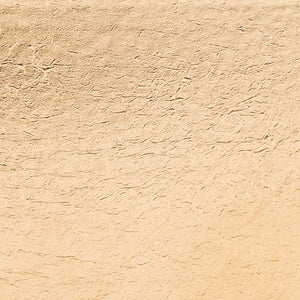 Vivian Rectangle Gold Leaf Coffee Table Gold Metal / Tempered Glass AMH8344A