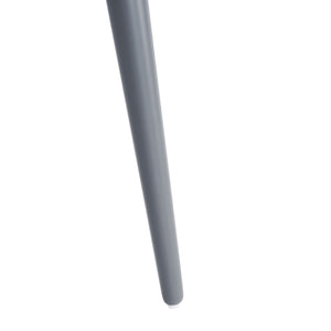 Safavieh Burris Side Chair AMH8511C-SET2