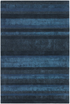 Chandra Rugs Amigo 50%Polyester + 25%Viscose + 25%Wool Hand-Woven Contemporary Rug Blue/Charcoal 7'9 x 10'6