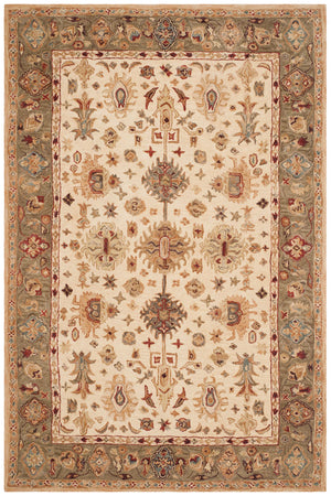 Safavieh An547 Hand Tufted Wool Pile Rug AN547B-CNR