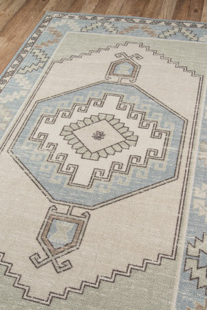 Momeni Anatolia ANA-2 Machine Made Traditional Medallion Indoor Area Rug Light Blue 9'9" x 12'6" ANATOANA-2LBL99C6