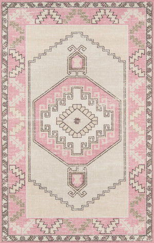 Momeni Anatolia ANA-2 Machine Made Traditional Medallion Indoor Area Rug Pink 9'9" x 12'6" ANATOANA-2PNK99C6