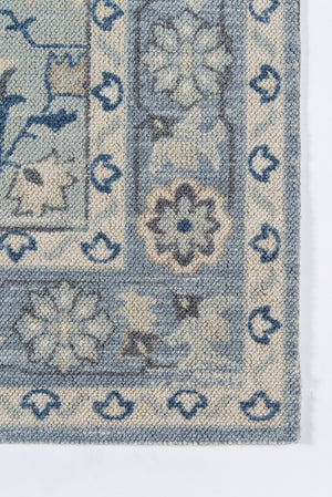 Momeni Anatolia ANA-9 Machine Made Traditional Medallion Indoor Area Rug Blue 9'9" x 12'6" ANATOANA-9BLU99C6