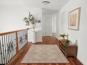 Momeni Anatolia ANA10 Machine Made Traditional Medallion Indoor Area Rug Pink 9'9" x 12'6" ANATOANA10PNK99C6