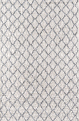Momeni Andes AND-7 Hand Woven Contemporary Trellis, Geometric Indoor Area Rug Natural 8'9" x 11'9" ANDESAND-7NAT89B9