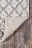 Momeni Andes AND-7 Hand Woven Contemporary Trellis, Geometric Indoor Area Rug Natural 8'9" x 11'9" ANDESAND-7NAT89B9