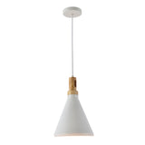 1 Light Pendant In White Finish