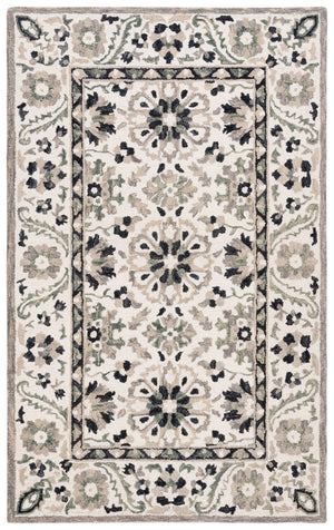 Safavieh Aspen 129 Hand Tufted 85% Wool/15% Cotton Bohemian Rug APN129A-8