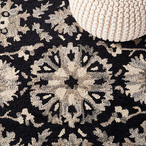 Safavieh Aspen 129 Hand Tufted 85% Wool/15% Cotton Bohemian Rug APN129Z-8