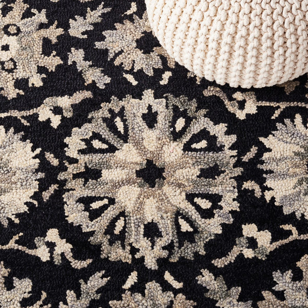 Safavieh Aspen 129 Hand Tufted 85% Wool/15% Cotton Bohemian Rug APN129Z-8