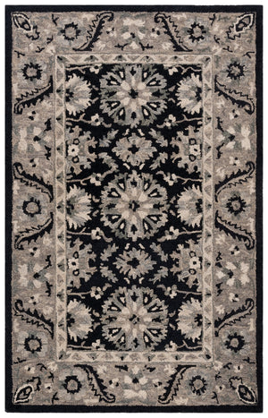 Safavieh Aspen 129 Hand Tufted 85% Wool/15% Cotton Bohemian Rug APN129Z-8