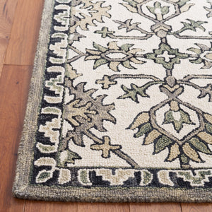 Safavieh Aspen 135 Hand Tufted 85% Wool/15% Cotton Bohemian Rug APN135A-8