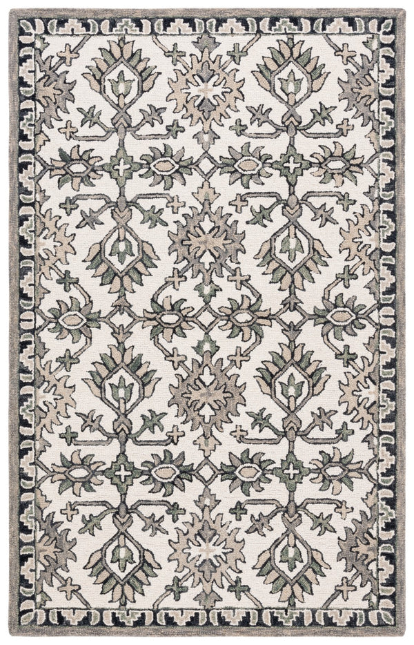 Safavieh Aspen 135 Hand Tufted 85% Wool/15% Cotton Bohemian Rug APN135A-8