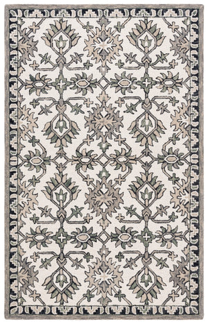 Safavieh Aspen 135 Hand Tufted 85% Wool/15% Cotton Bohemian Rug APN135A-8