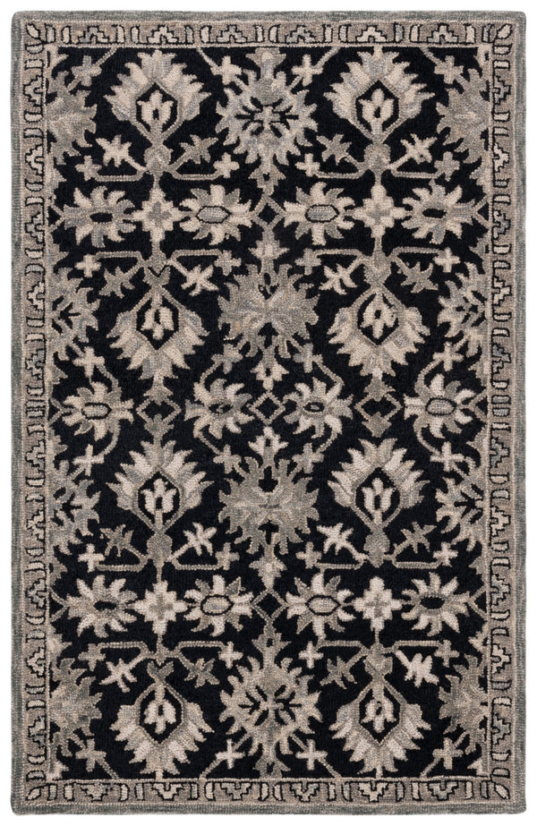 Safavieh Aspen 135 Hand Tufted 85% Wool/15% Cotton Bohemian Rug APN135H-8