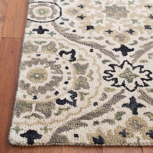 Safavieh Aspen 141 Hand Tufted 85% Wool/15% Cotton Bohemian Rug APN141A-8