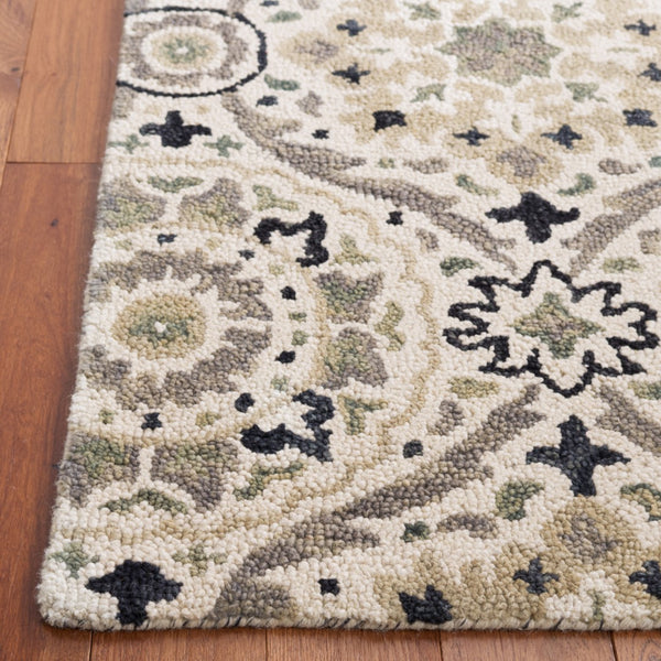 Safavieh Aspen 141 Hand Tufted 85% Wool/15% Cotton Bohemian Rug APN141A-8