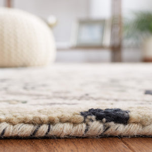 Safavieh Aspen 141 Hand Tufted 85% Wool/15% Cotton Bohemian Rug APN141A-8