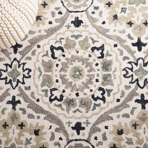 Safavieh Aspen 141 Hand Tufted 85% Wool/15% Cotton Bohemian Rug APN141A-8