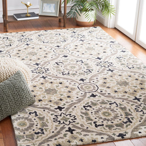 Safavieh Aspen 141 Hand Tufted 85% Wool/15% Cotton Bohemian Rug APN141A-8