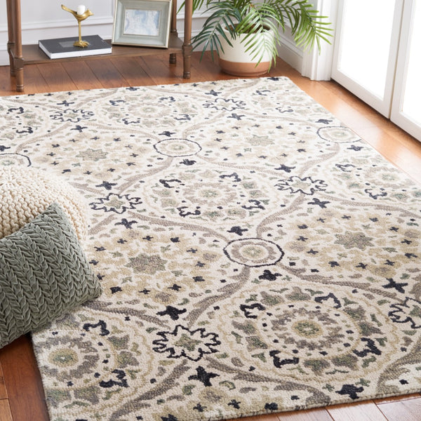 Safavieh Aspen 141 Hand Tufted 85% Wool/15% Cotton Bohemian Rug APN141A-8