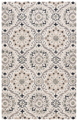 Safavieh Aspen 141 Hand Tufted 85% Wool/15% Cotton Bohemian Rug APN141A-8