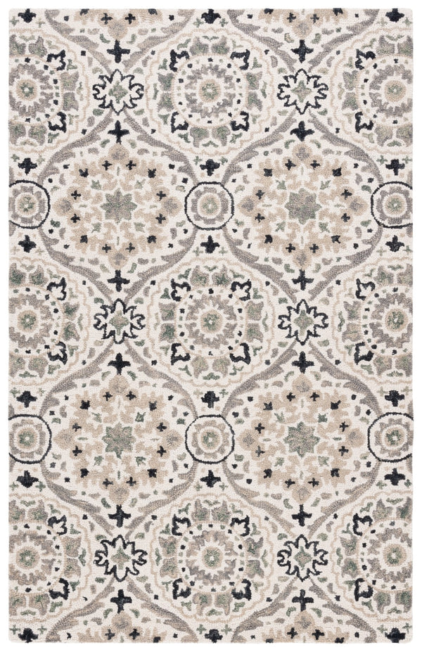 Safavieh Aspen 141 Hand Tufted 85% Wool/15% Cotton Bohemian Rug APN141A-8