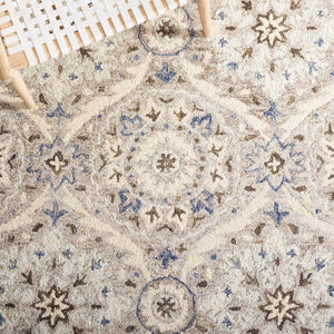 Safavieh Aspen 141 Hand Tufted 85% Wool/15% Cotton Bohemian Rug APN141B-8