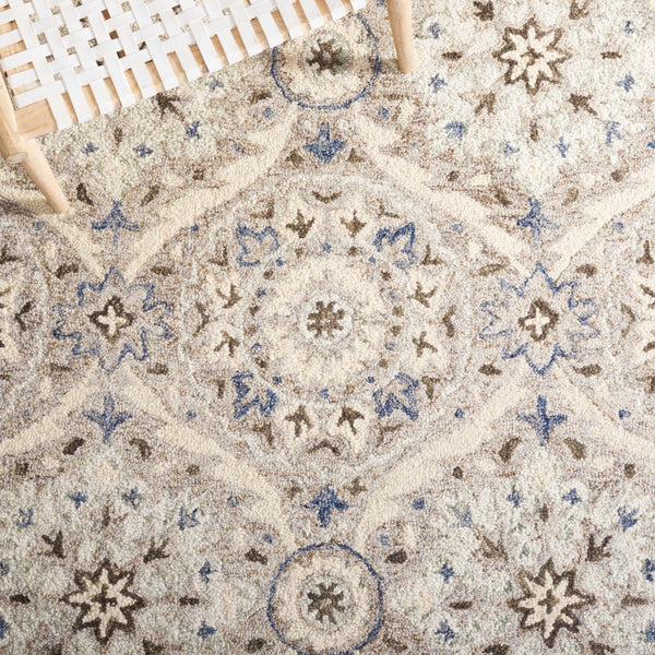 Safavieh Aspen 141 Hand Tufted 85% Wool/15% Cotton Bohemian Rug APN141B-8