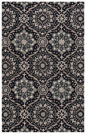 Safavieh Aspen 141 Hand Tufted 85% Wool/15% Cotton Bohemian Rug APN141Z-8