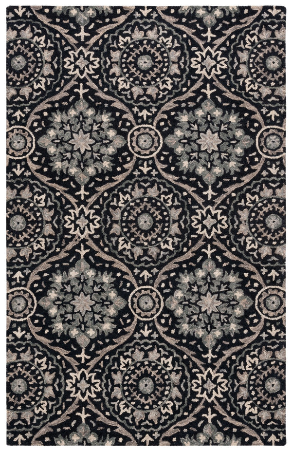 Safavieh Aspen 141 Hand Tufted 85% Wool/15% Cotton Bohemian Rug APN141Z-8